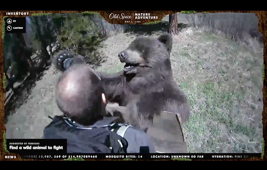 Old Spice Nature Adventure live feed: a shoulder-camera view of Nature Man squaring up to a bear in the woods, with a viewer's chat suggestion reading Find a wild animal to fight, an inventory panel and a ticker counting mosquito bites